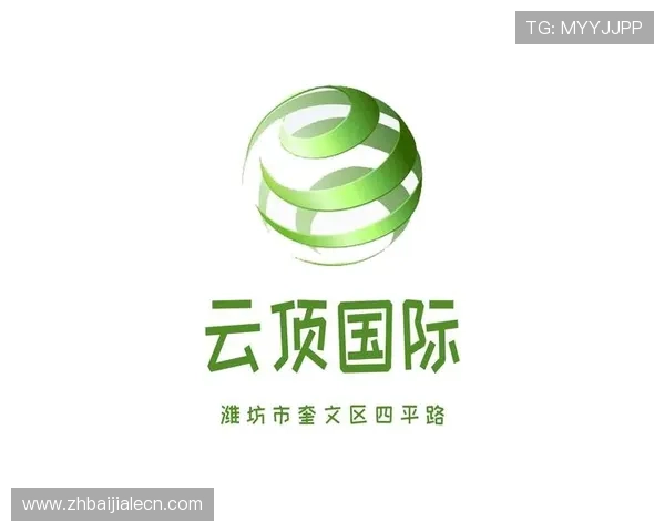 云顶国际官网登录网址官方入口，提供最全面的登录指南与安全保障