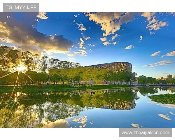 海星体育与传统体育媒体的区别：优势分析与用户选择建议