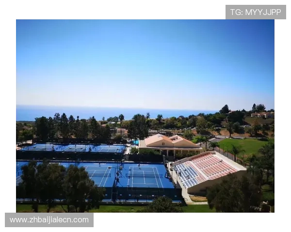 百家乐录单详细教程帮助玩家轻松掌握游戏技巧提升胜率