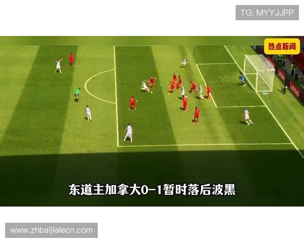 加拿大对波黑比赛角球数统计数据,帮助球迷了解比赛中的攻防节奏与战术调整